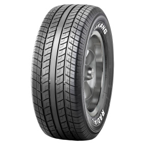 Nankang N-729 Radial White Letters 205/65-16 H 95